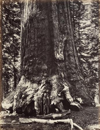 (CALIFORNIA.) The Yosemite Book; A Description of the Yosemite Valley and the Adjacent Region of the Sierra Nevada, and of the Big Tree